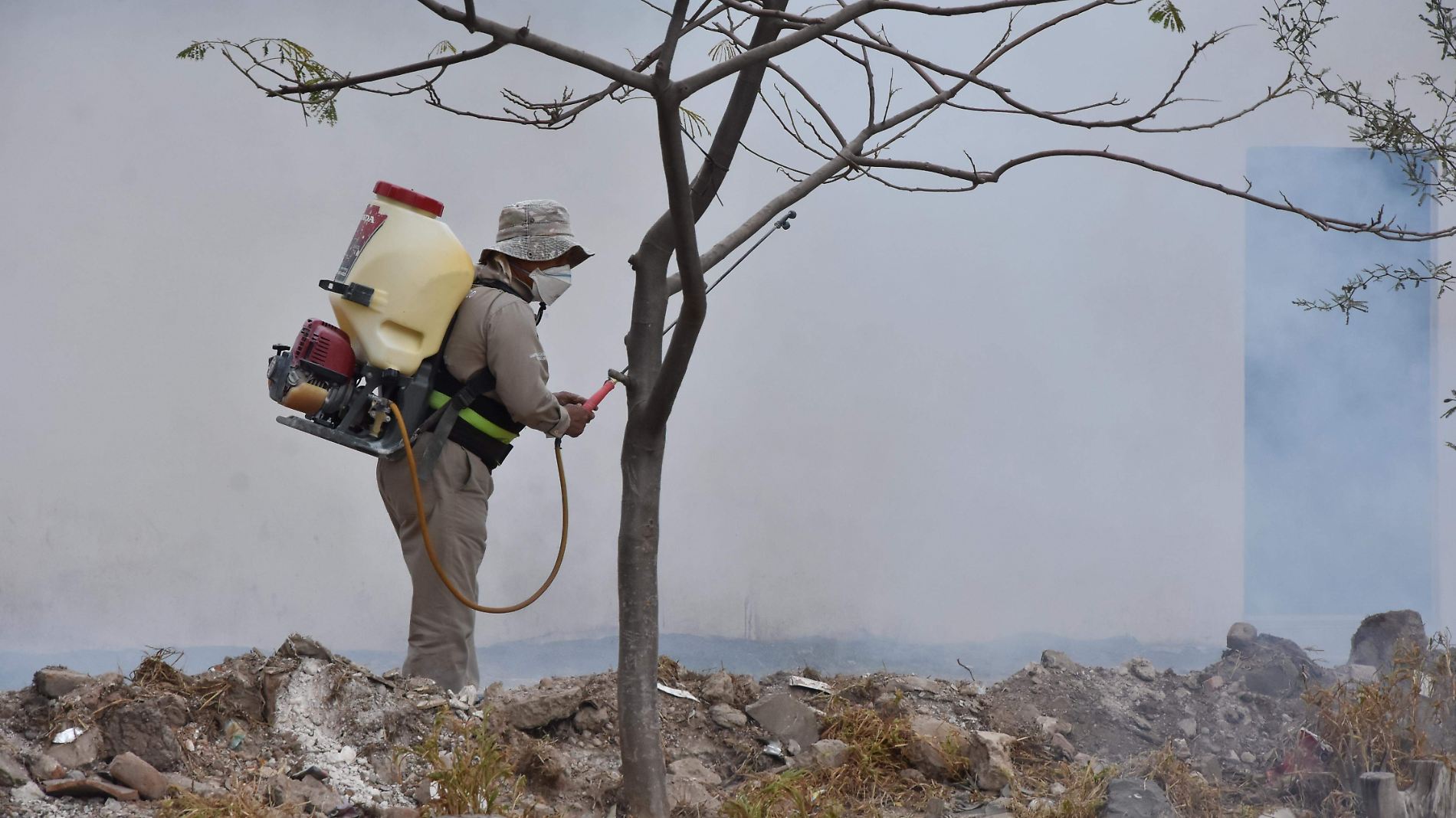 Guanajuato con más de dos mil casos de dengue; siguen brotes pese a fin de temporada (1)